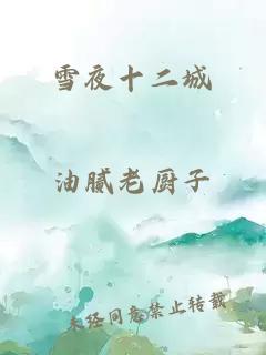 雪夜十二城